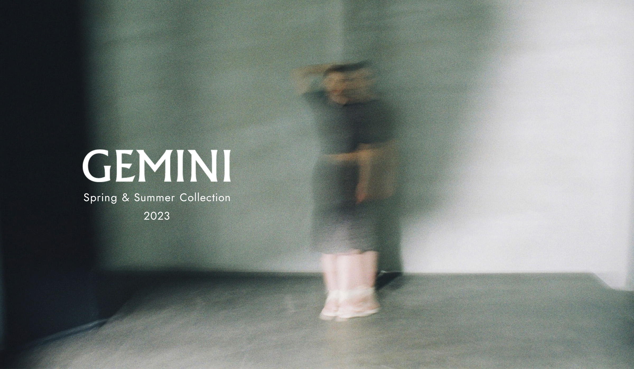 GEMINI